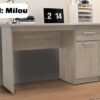 Bureau Milou