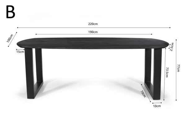 Tafel Tommy 220x100cm